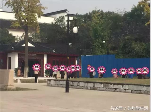 苏州的好看的东西,苏州vs纽约