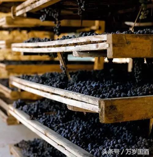 如何辨别葡萄酒真的假的,怎样辨别葡萄酒是真的是假的