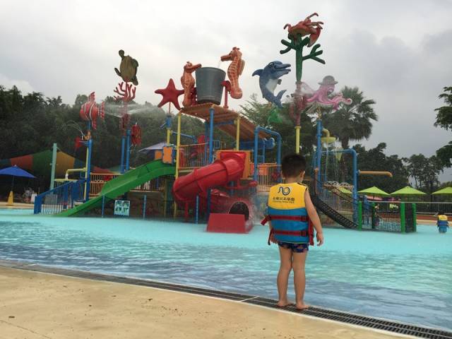 长隆攻略水上乐园和大马戏,广州长隆动物世界旅游攻略