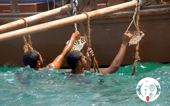 买珍珠好还是黄金好,买珍珠买海水还是淡水