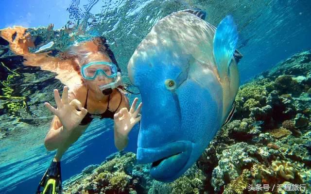 去澳大利亚可以去哪玩,去澳大利亚旅游必须去的地方