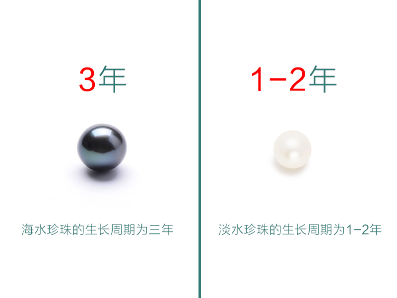 买珍珠好还是黄金好,买珍珠买海水还是淡水