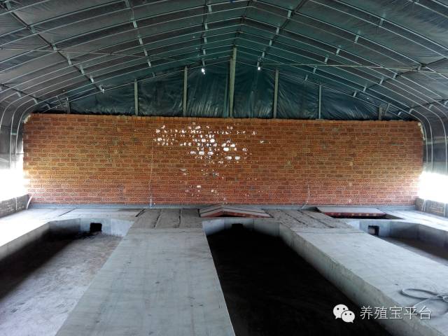 爱佳集团杨经理,杨文斌的养殖场