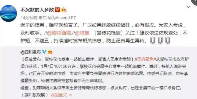 攀枝花枪击案最新结果,2017年攀枝花市枪击案