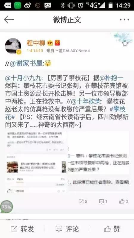 攀枝花枪击案最新结果,2017年攀枝花市枪击案