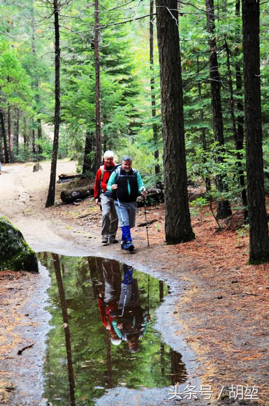 加利福尼亚美洲公园,加利福利亚国家公园