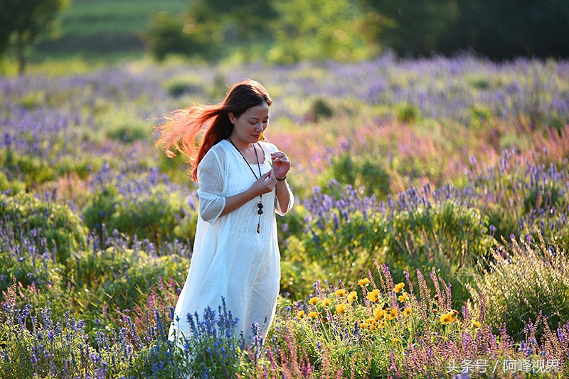 娲箹姘存氮鎵撴氮娲箹宀歌竟鍥剧墖,娲箹姘存氮鎵撴氮娲箹宀歌竟瑙嗛
