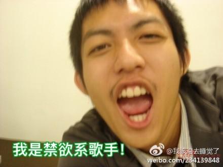 林宥嘉澄清,林宥嘉禁欲系