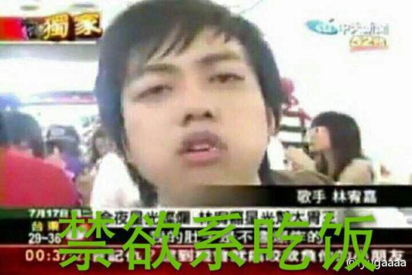 林宥嘉澄清,林宥嘉禁欲系