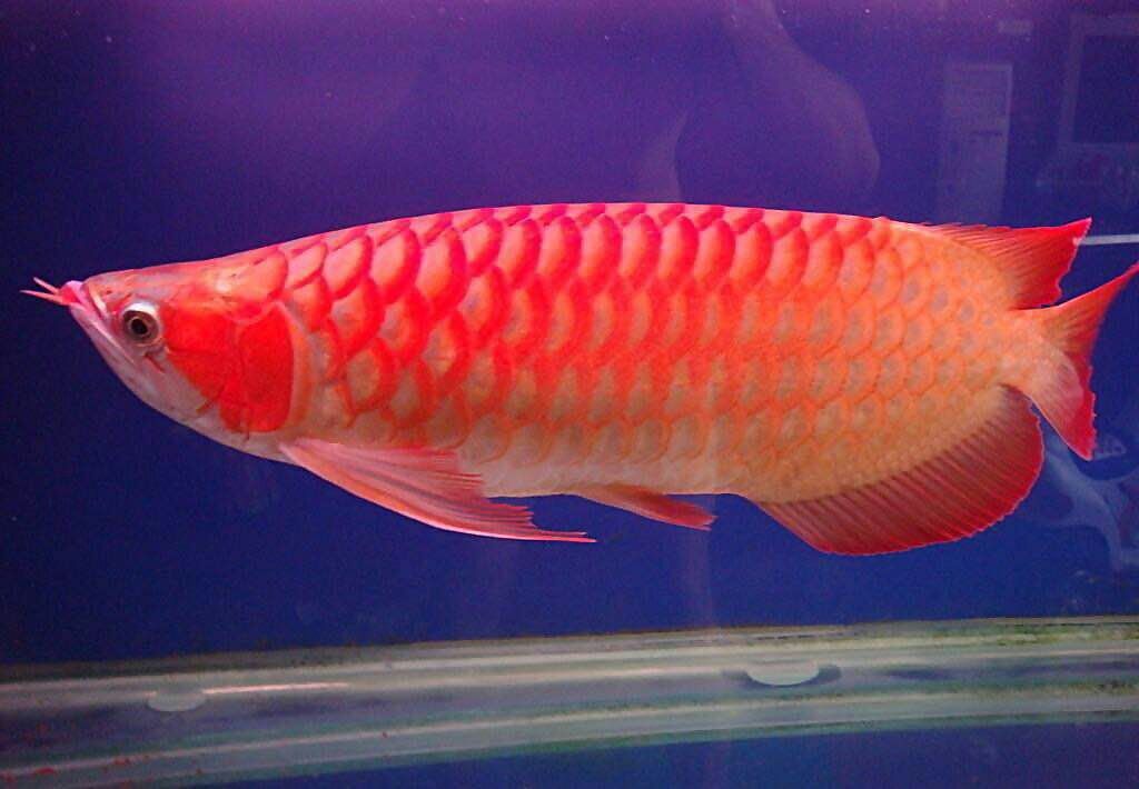 居家生活小妙招100例,居家生活小妙招2020年