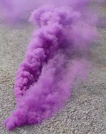 用心的犊牛管理者CRI国际兽医学博士——大卫L·布朗