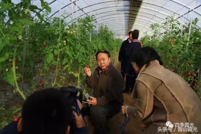 魅力龙泉,龙泉镇富硒采摘园