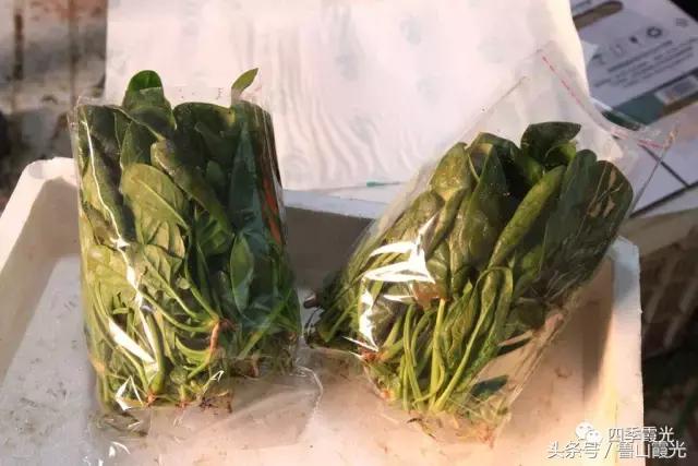 魅力龙泉,龙泉镇富硒采摘园