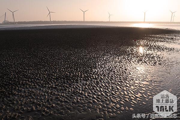夕阳下的湿地美景,冬日下的湿地公园美如画