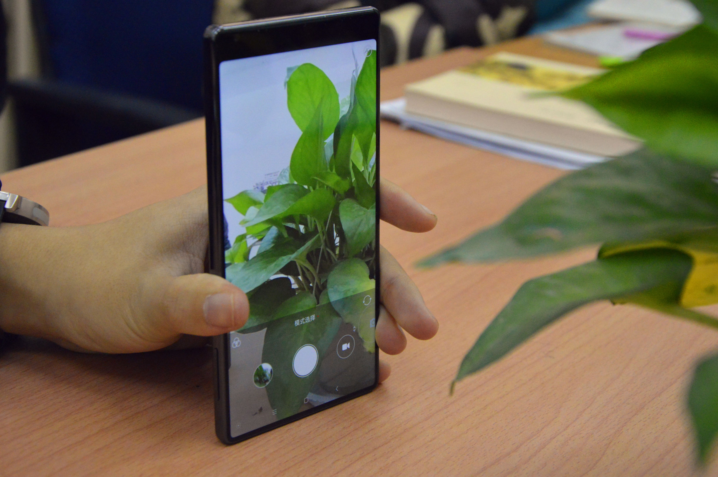 taster手机是什么意思,taster最新版