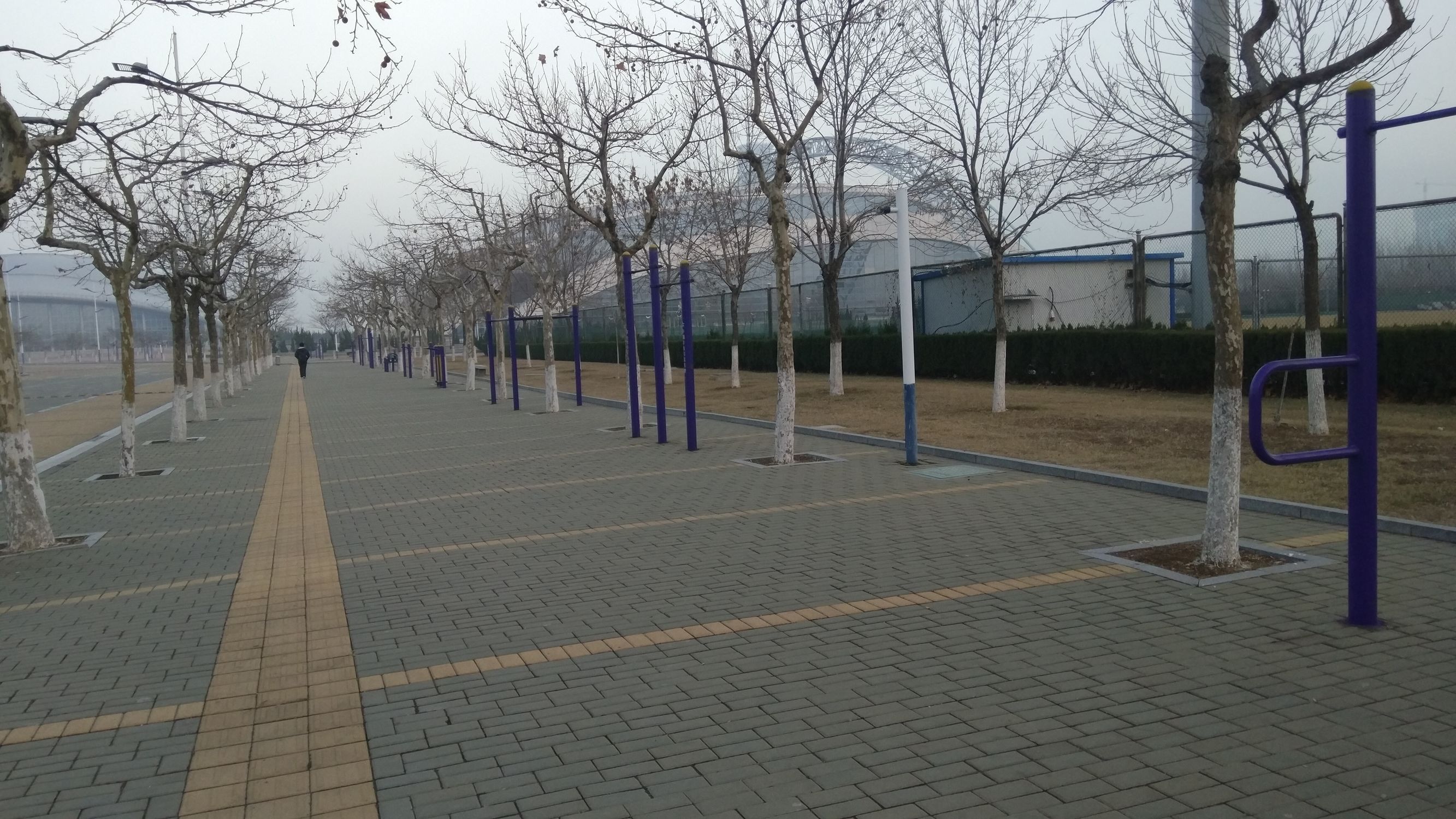 taster手机是什么意思,taster最新版