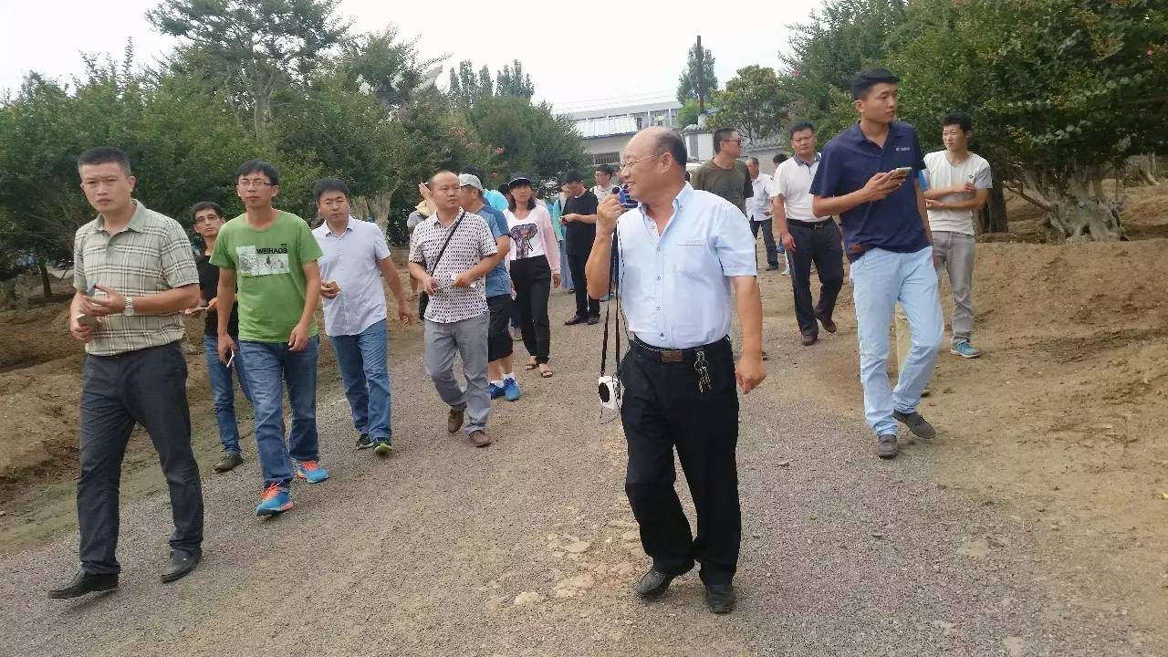 苗木那些事,山东苗木现状分析