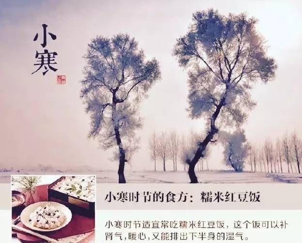 「聚焦」芸农庄的中国感恩节