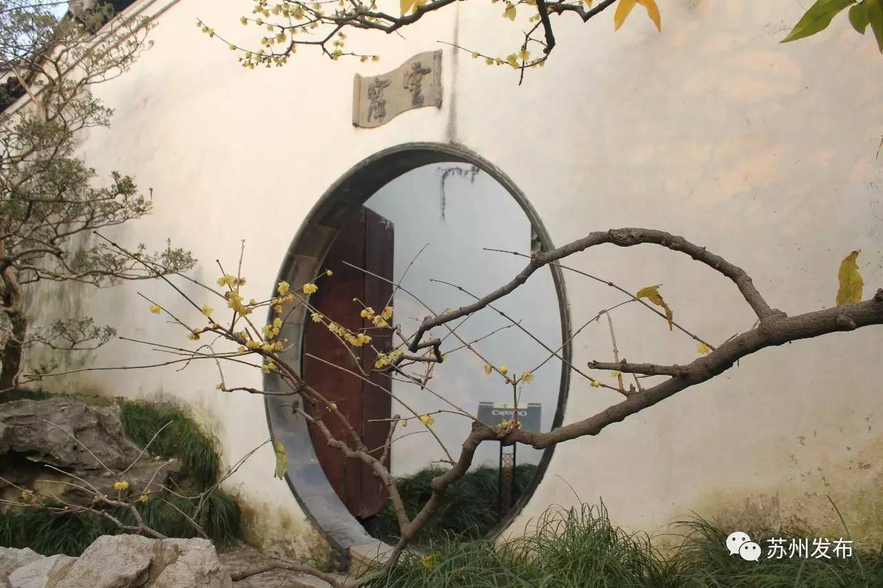 网师园里访腊梅：香密染成宫样黄……