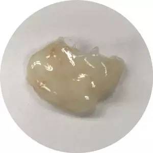 美容帮|周冬雨全智贤一半的颜值来自透光美肌?这7款最畅销面霜给你答案