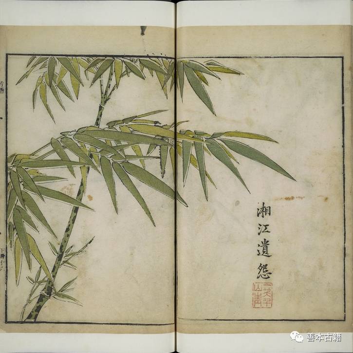 芥子园画传第一册,芥子园画传哪个版本好