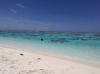 马尔代夫旅行回忆,马尔代夫经济型岛屿