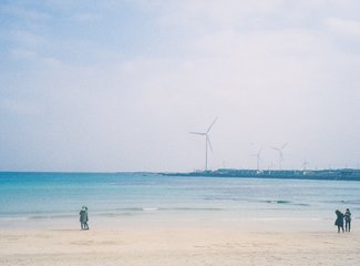 济州岛游记记录,济州岛的春天旅行日记