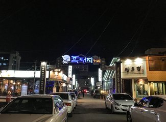 济州岛游记记录,济州岛的春天旅行日记