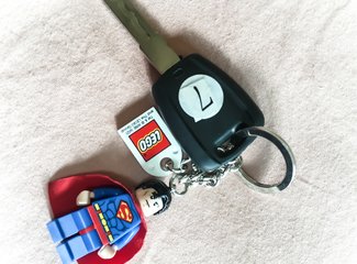 济州岛游记记录,济州岛的春天旅行日记