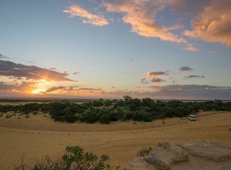 西澳珊瑚海岸3700公里自驾：卡尔巴里-猴子米娅-珊瑚湾-宁加洛珊瑚礁！