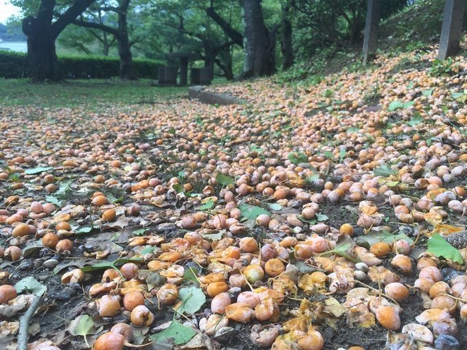 乘邮轮旅游的10大优点,乘邮轮旅行