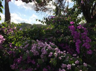 意大利好吃的餐馆,意大利好吃的美食