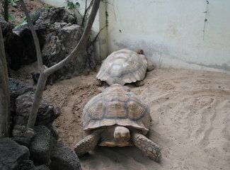 璇磋蛋灏辫蛋甯︿笂瀛欏コ鏃呰,璇磋蛋灏辫蛋甯﹀濡堝幓鏃呰