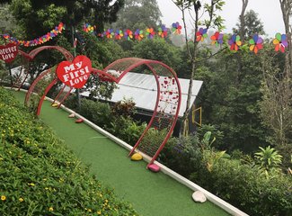 马来西亚马六甲槟城兰卡威11天,马来西亚槟城自由行攻略路线