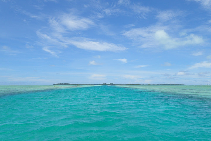 帕劳怎么玩,我来教你怎么玩打野