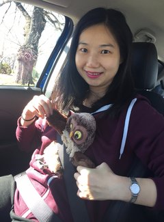 新西兰南岛11天自驾游攻略,新西兰北岛自驾游15天攻略