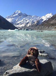 新西兰南岛11天自驾游攻略,新西兰北岛自驾游15天攻略