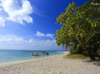 离天堂最近的地方张杰,离天堂最近的地方歌曲
