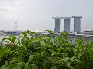 去抓住夏天的尾巴--WSM大魔王坡县纪行