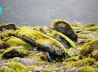 「2016.10RaesTriptoNewZealand」11日初次南半球之纽西兰