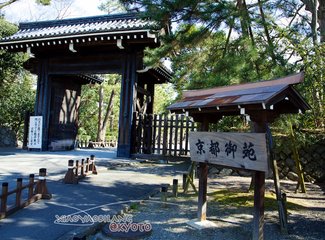 逛不尽的东瀛－二刷日本十五天