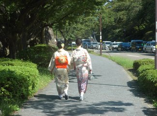 意外的旅程电视剧,意外的旅程原文