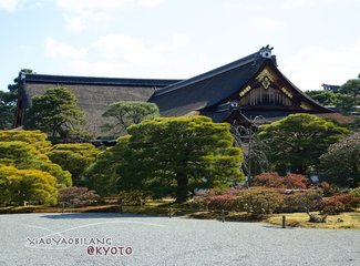 逛不尽的东瀛－二刷日本十五天
