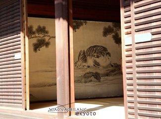 逛不尽的东瀛－二刷日本十五天