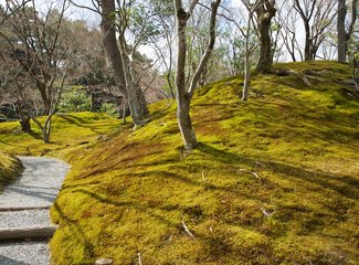 逛不尽的东瀛－二刷日本十五天