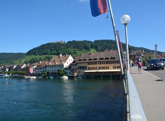 鲜花在脚下，雪山在前方——小淘淘2016年暑假瑞士徒步记