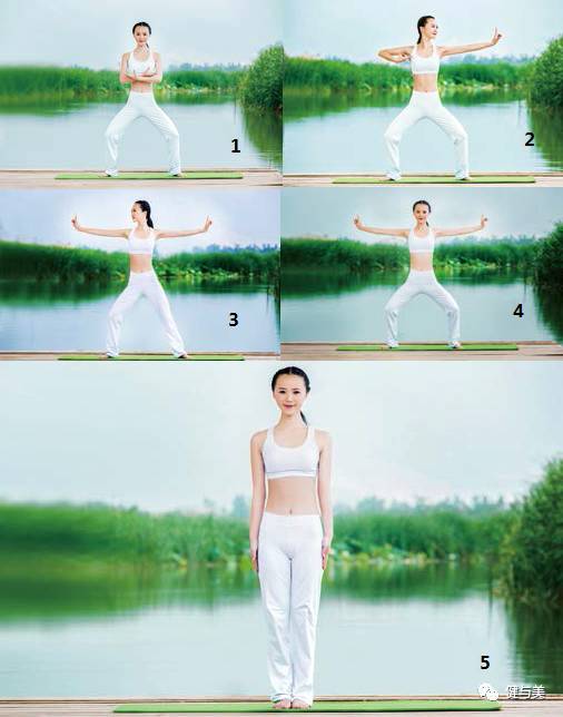 瑜伽养生课,瑜伽初级入门养生瑜伽