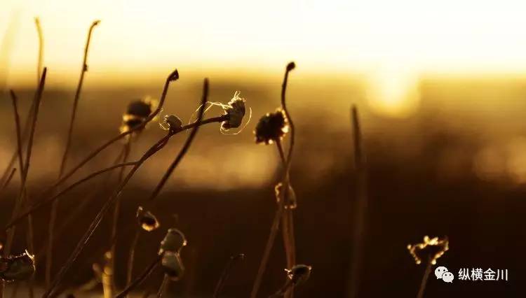 紫金看日出最佳地点,紫金城看日出最佳地点