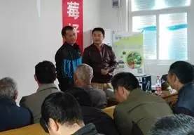 「今日优品」关注草莓用药，农药追新真的好吗？