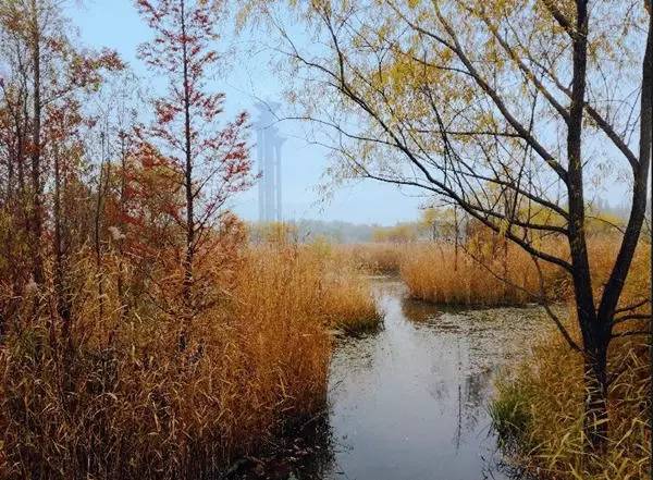 京城旅游攻略必去景点推荐,游玩京城好去处